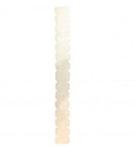 Transparent Toothed Racket Protector